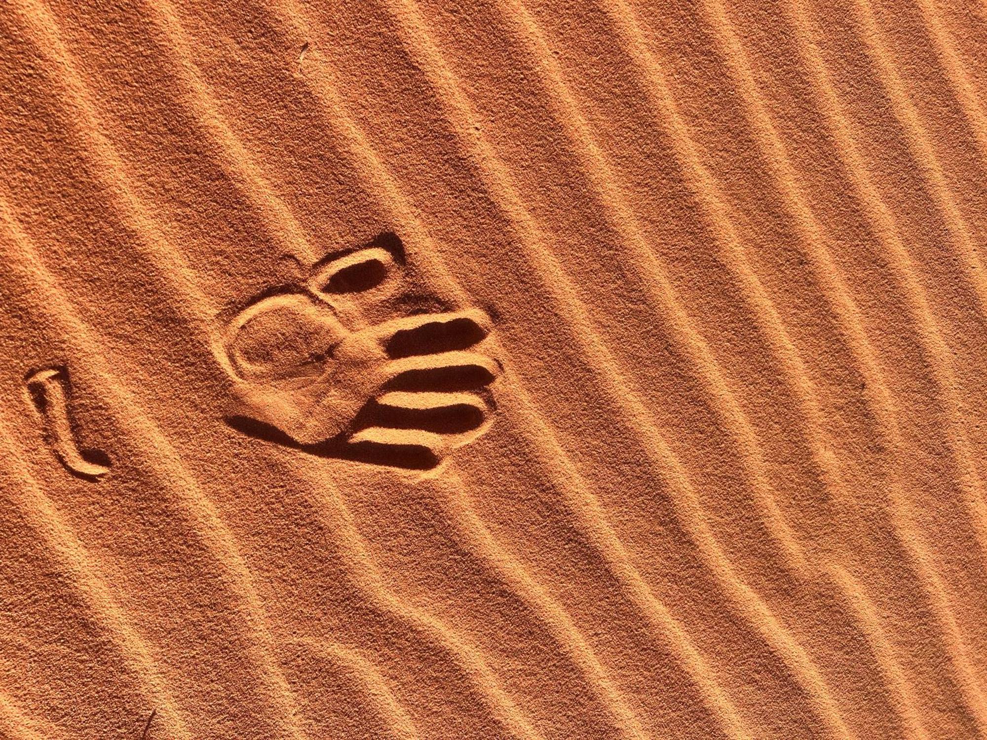 Wadi Rum Trip Exteriér fotografie